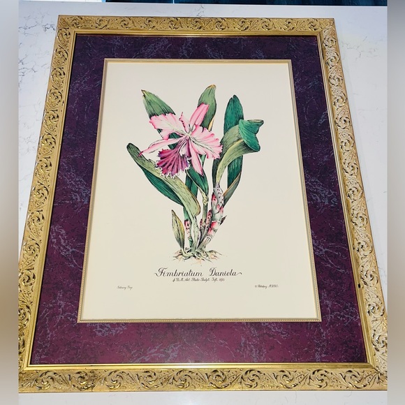 VTG hand-tinted etching orchid print signed by Dan Mitra in gilded frame 31x25